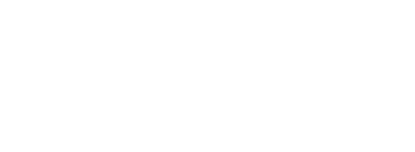 E1CI